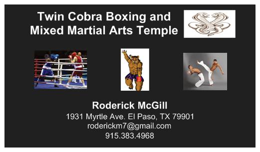 Twin Cobra Boxing & Mixed Martial Arts Temple