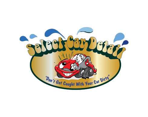 Select Car Detail logo